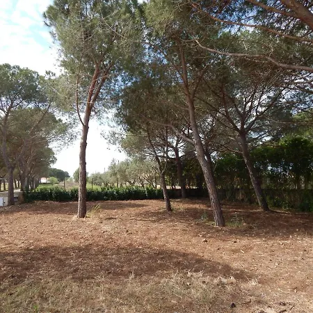 Nocleg ze śniadaniem Turtle Island 3*