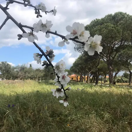 Bed & Breakfast Turtle Island 3*