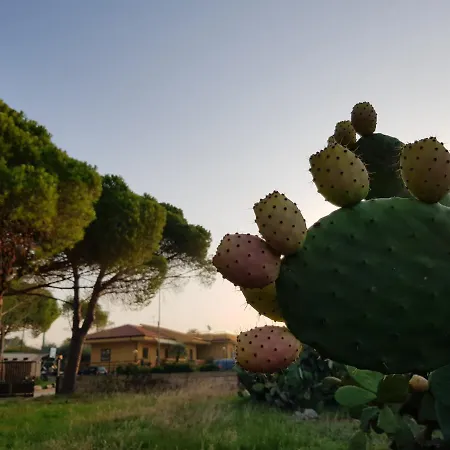 Bed & Breakfast Turtle Island 3*