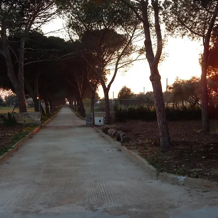 Bed & Breakfast Turtle Island