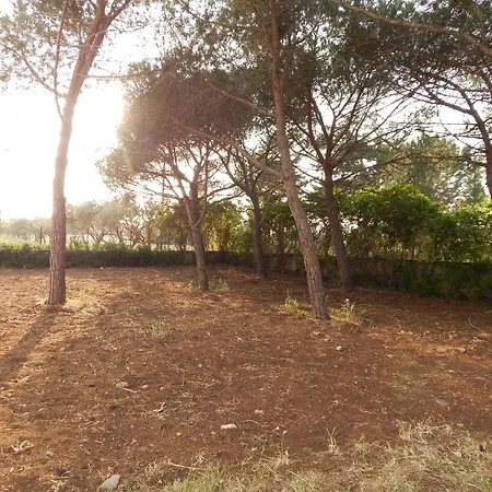 Turtle Island Bed & Breakfast