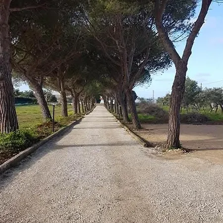 Bed & Breakfast Turtle Island Santa Croce Camerina