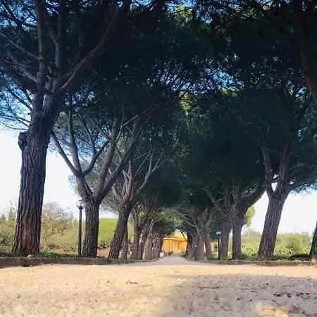 Turtle Island 3* Santa Croce Camerina