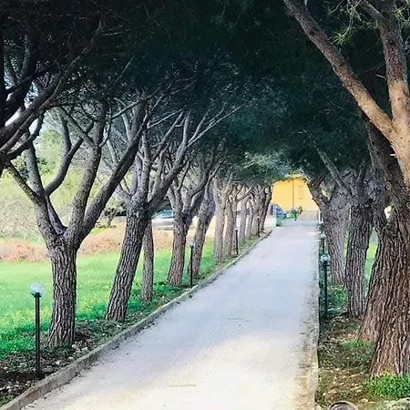 Turtle Island Bed & Breakfast