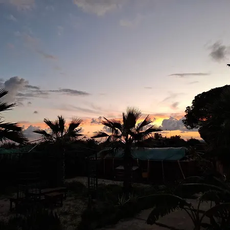 Bed & Breakfast Turtle Island